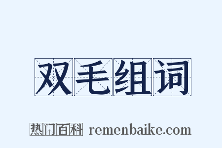 双毛组词是什么意思的图片
